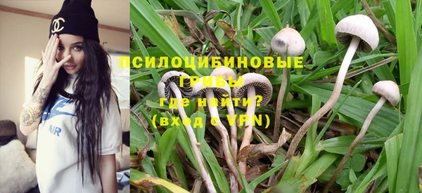 трава Абинск