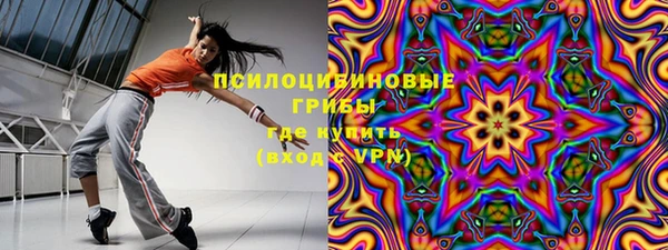 ПСИЛОЦИБИНОВЫЕ ГРИБЫ Алексин