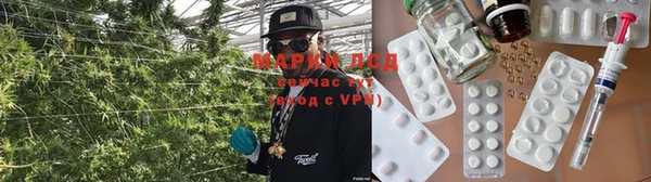 гидра Алексеевка