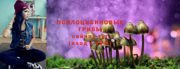 трава Абинск