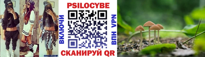 Галлюциногенные грибы Cubensis  купить наркоту  Шумерля 