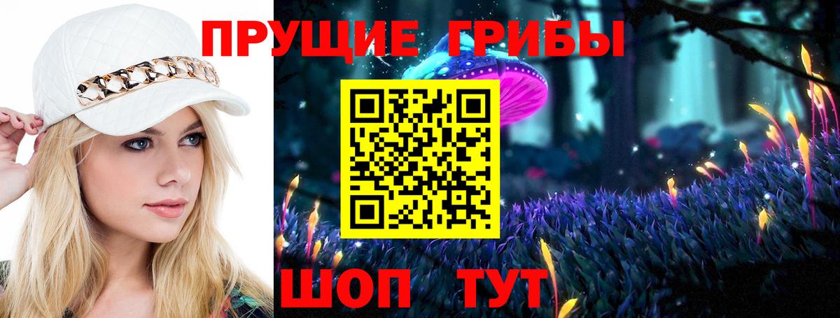 Шумерля  Псилоцибиновые грибы Magic Shrooms  Псилоцибиновые грибы ЛСД  Вход с VPN 